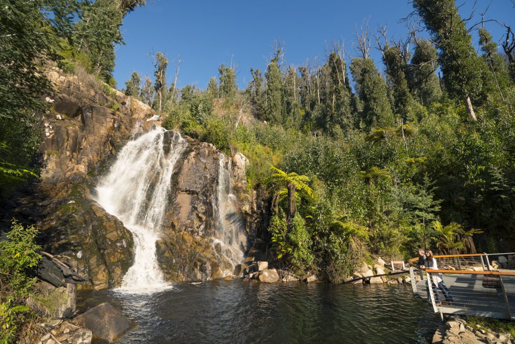 STEAVENSON FALLS MARYSVILLE near Marysville, Victoria