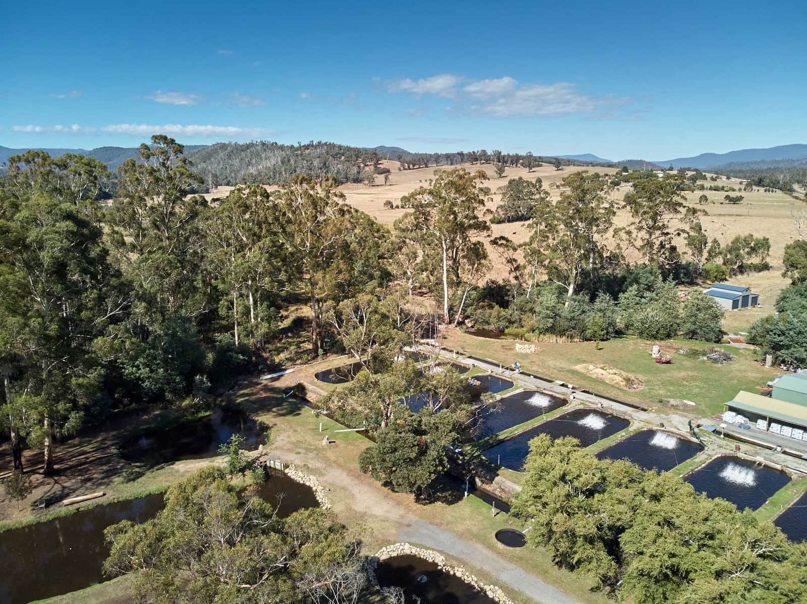 BUXTON TROUT & SALMON FARM near Marysville, Victoria