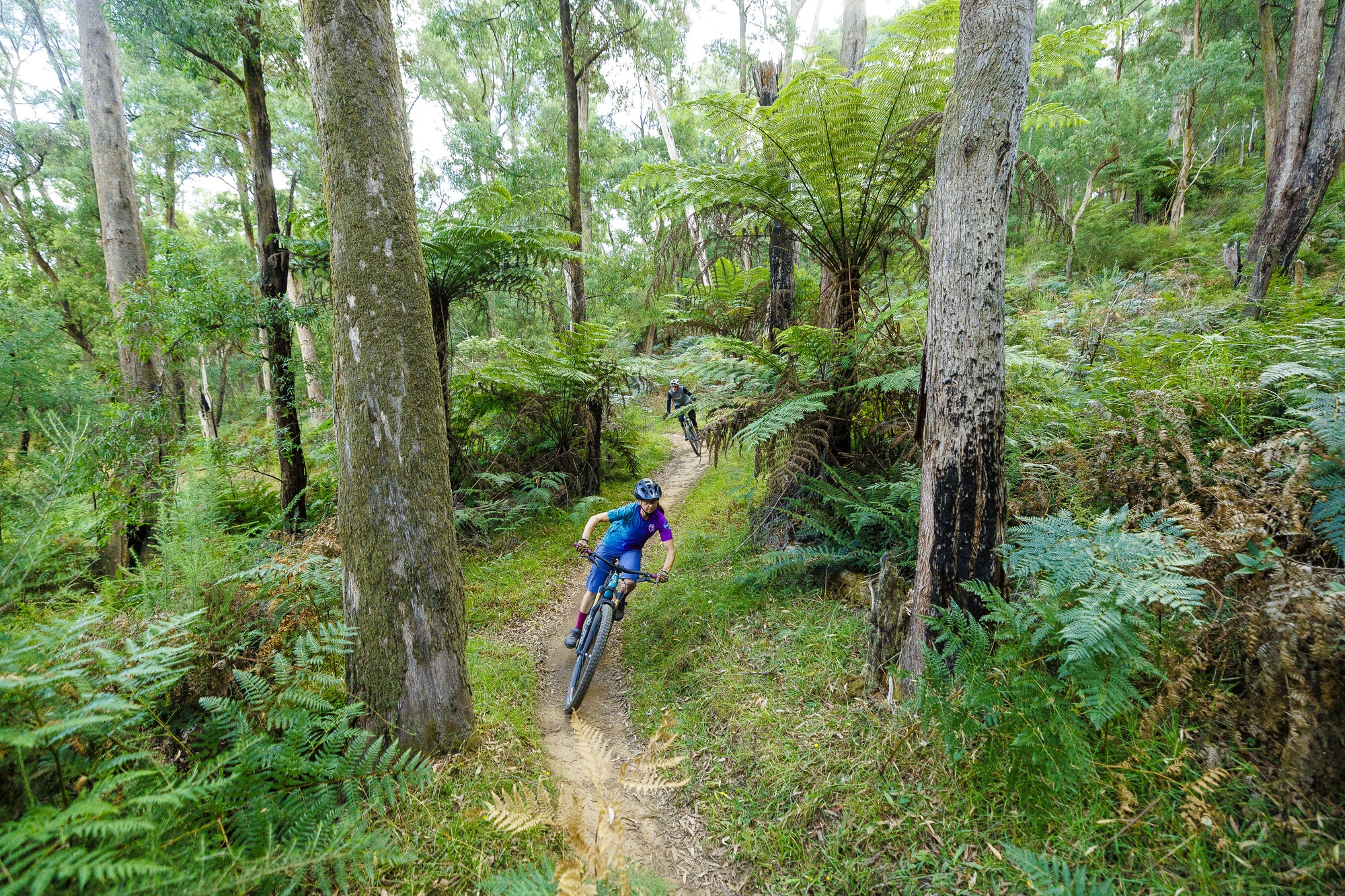 BUXTON MTB PARK near Marysville, Victoria